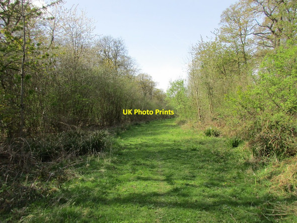 Photo 6"x4" Ride in Earl's Wood Syresham c2017