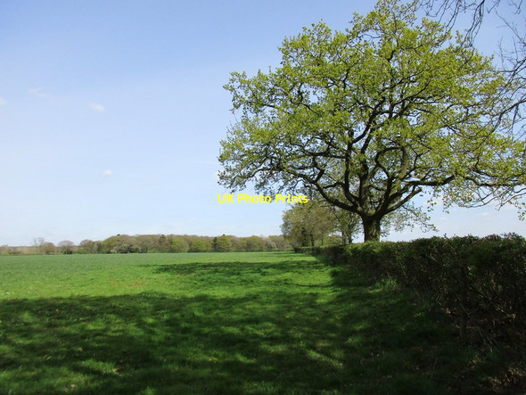 Photo 6"x4" Westbury Circular Ride Biddlesden c2017