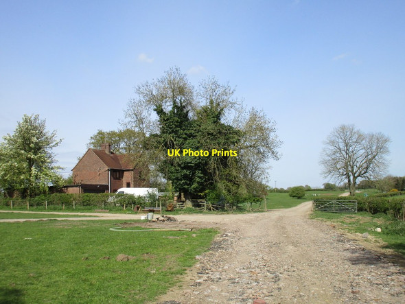 Photo 6"x4" Farm tracks near Thatcham Ponds Farm Biddlesden c2017