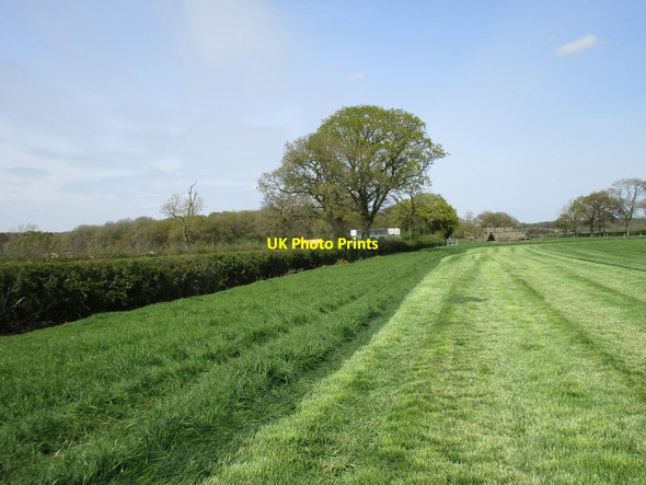 Photo 6"x4" First cut Dadford c2017