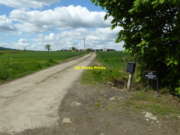 Photo 6"x4" Drive to Berryfield Farm Admington c2017