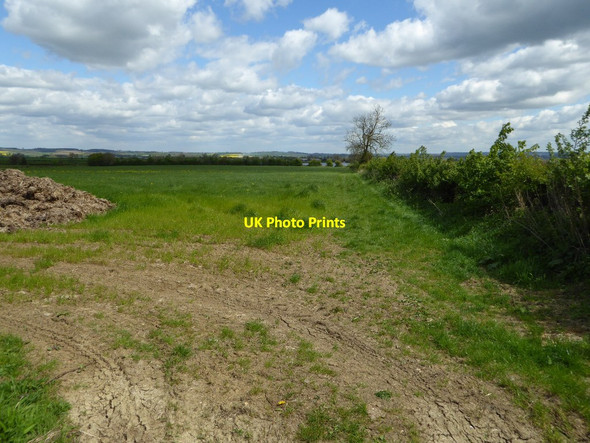 Photo 6"x4" Farmland at Ilmington Darlingscott c2017