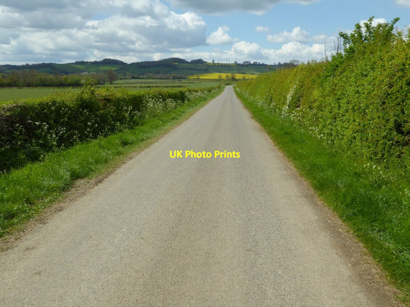 Photo 6"x4" Ilmington Road Blackwell\/SP2443 c2017