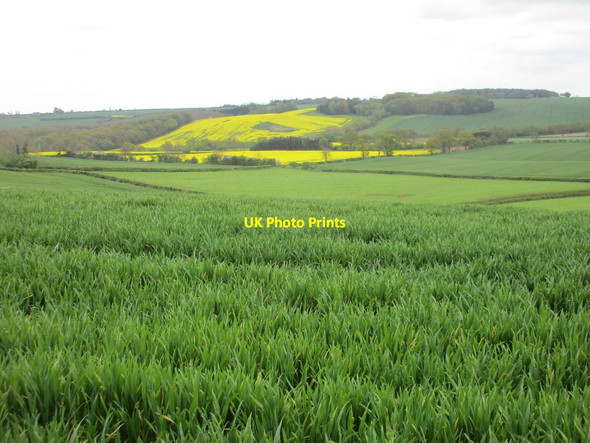 Photo 6"x4" View towards Stowe Wood Upper Weedon c2017