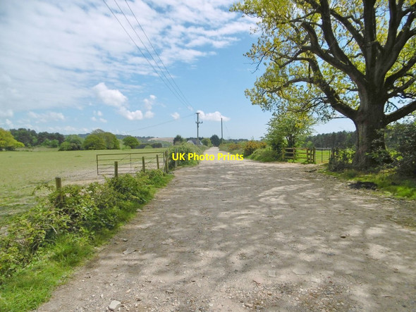 Photo 6"x4" Corfe Mullen, bridleway Barrow Hill\/SY9596 c2017