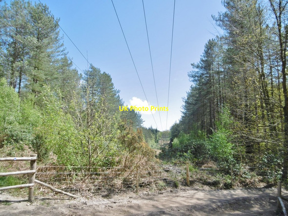 Photo 6"x4" Corfe Mullen, power lines Barrow Hill\/SY9596 c2017