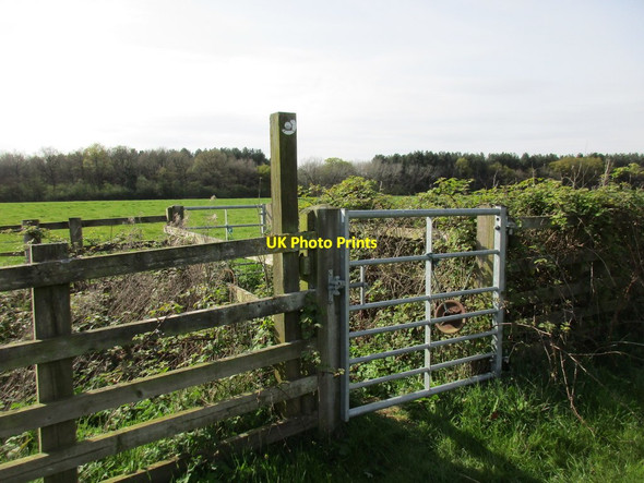 Photo 6"x4" Twin gates and bridge Biddlesden c2017
