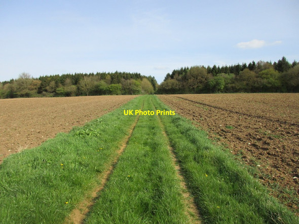 Photo 6"x4" The Ouse Valley Way and Whitfield Wood Biddlesden c2017
