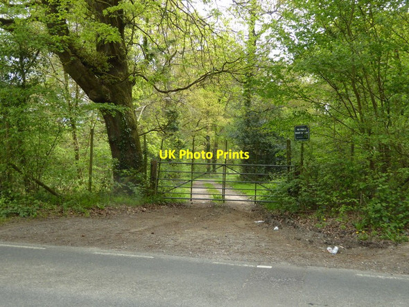 Photo 6"x4" Spring greens near Balcombe Balcombe c2017