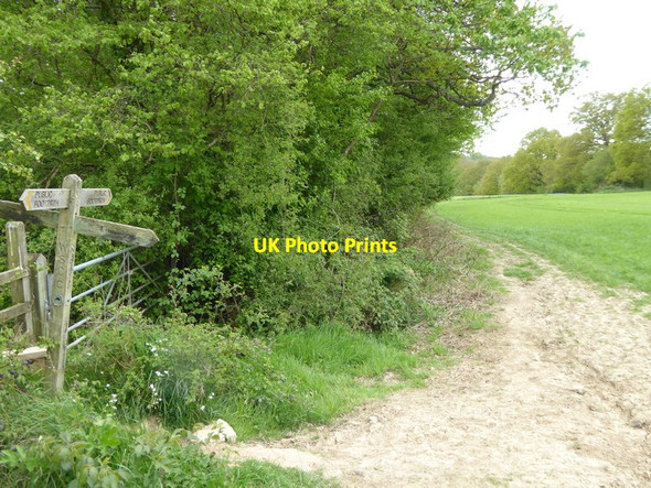 Photo 6"x4" Looking southwards from crossing paths Ardingly c2017