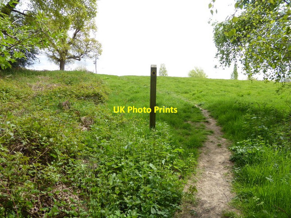 Photo 6"x4" Footpath to Great Lywood Farm leaves woodland Ardingly c2017