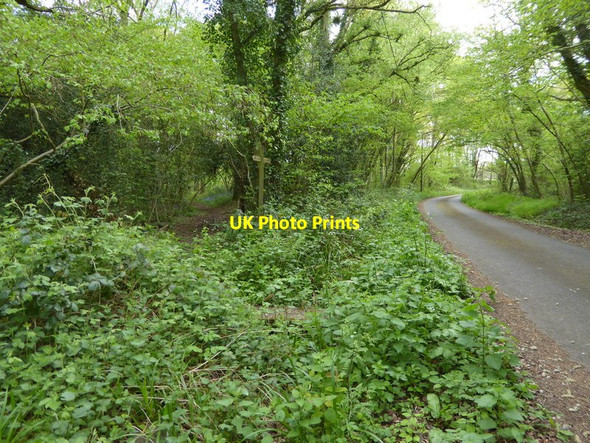 Photo 6"x4" Path junction on Lywood Common Ardingly c2017