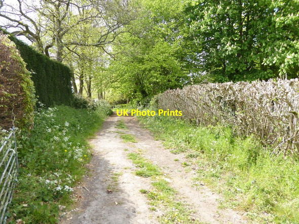 Photo 6"x4" Footpath ascends towards road at Highbrook Highbrook\/TQ3630 c2017