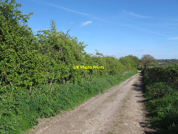 Photo 6"x4" Springfield Lane, Tong Tong\/SE2230 c2017