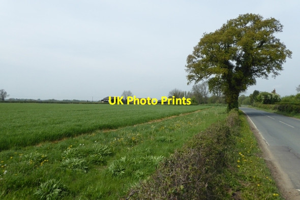 Photo 6"x4" Road east of Ozendyke Nun Appleton c2017