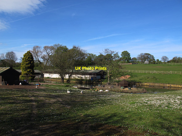 Photo 6"x4" Pond on the Cock Beck Cockersdale c2017