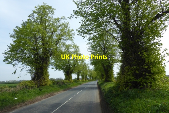 Photo 6"x4" Along New Road West End\/SE5140 c2017