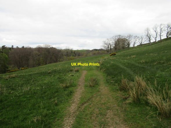 Photo 6"x4" Footpath towards Hindley Wrae Bearsbridge c2017