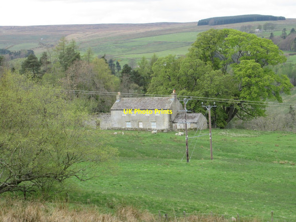 Photo 6"x4" Asheybank Farm Bearsbridge c2017 P1