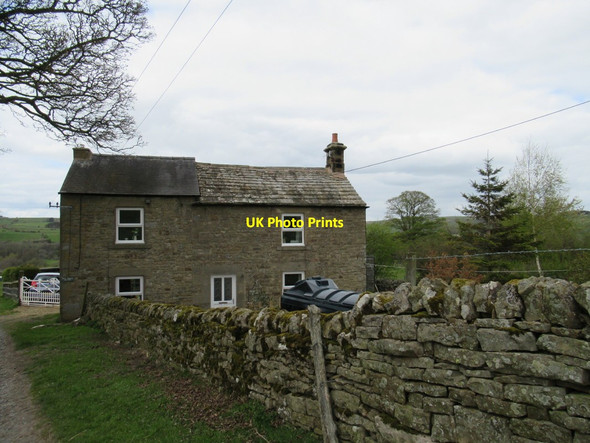 Photo 6"x4" Low Oustley Catton\/NY8257 c2017