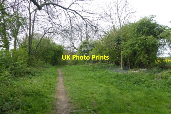 Photo 6"x4" Start of Moor Lane Scarthingwell c2017