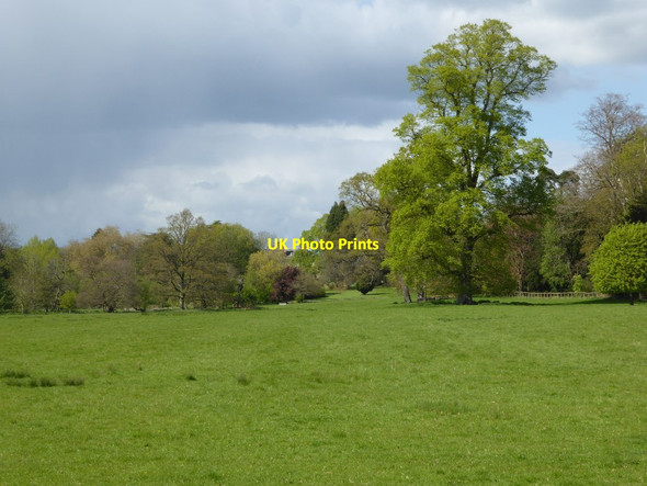 Photo 6"x4" Parkland at Honington Honington\/SP2642 c2017