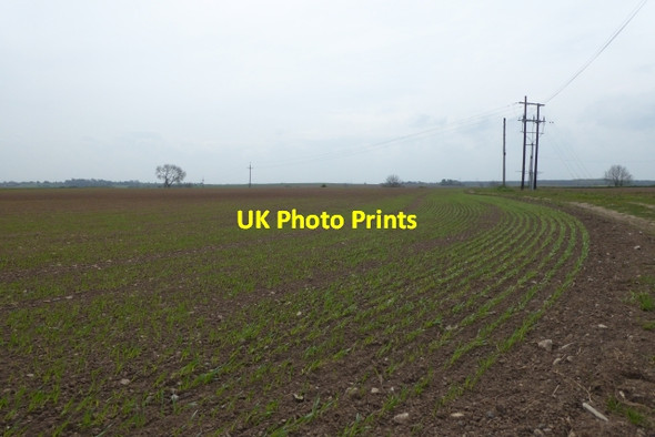 Photo 6"x4" Crops turn the corner Saxton c2017