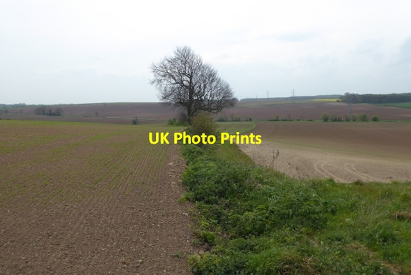 Photo 6"x4" Field boundary Saxton c2017