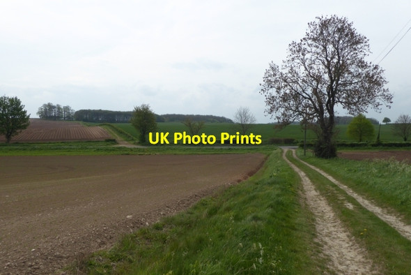Photo 6"x4" Bridleway to Coldhill Lane Saxton c2017
