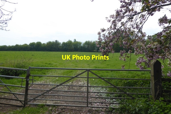 Photo 6"x4" Gate off Copley Lane Saxton c2017