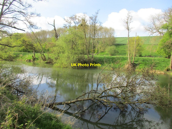 Photo 6"x4" The River Derwent near Kirkham Firby\/SE7466 c2017