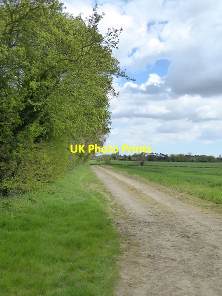 Photo 6"x4" Farm road Woodbridge\/TM2649 c2017