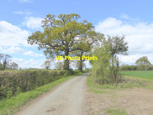 Photo 6"x4" Pound Lane, Bredfield Bredfield c2017