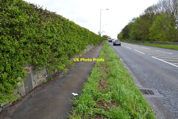 Photo 6"x4" Old Slate Milestone Bethel\/SH5265 c2017