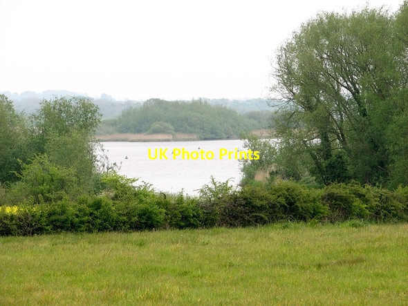 Photo 6"x4" View towards Rockland Broad Rockland St Mary c2017