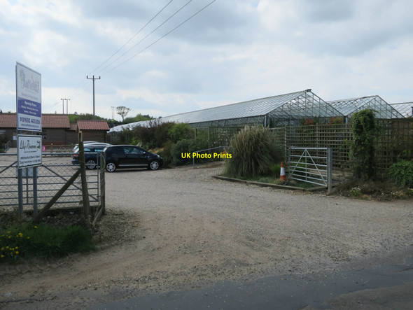 Photo 6"x4" Hadfield Nursery North Walsham c2017