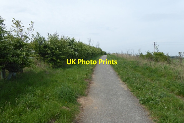 Photo 6"x4" Cycle path to Wetherby Bramham c2017