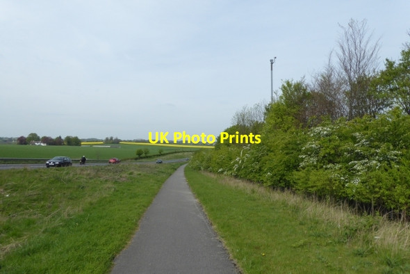 Photo 6"x4" Wattle Syke to Wetherby path Wetherby c2017