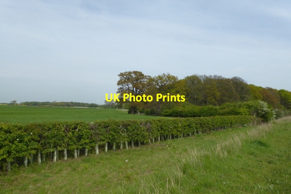 Photo 6"x4" Deighton Whin Wetherby c2017