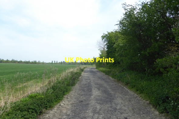 Photo 6"x4" Sandbeck Lane Wetherby c2017