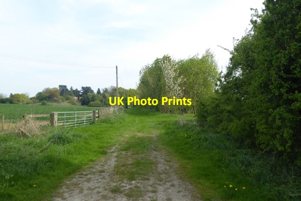 Photo 6"x4" Bridleway to the B1224 Wetherby c2017