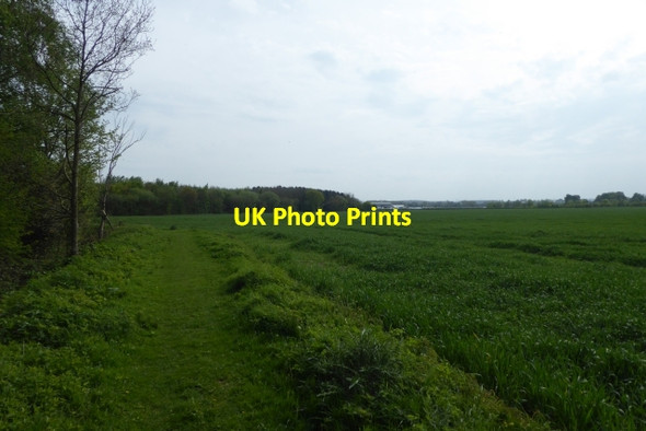 Photo 6"x4" Bridleway at Swinnow Wetherby c2017