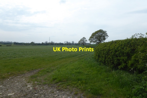 Photo 6"x4" Field off Springs Lane Walton\/SE4447 c2017