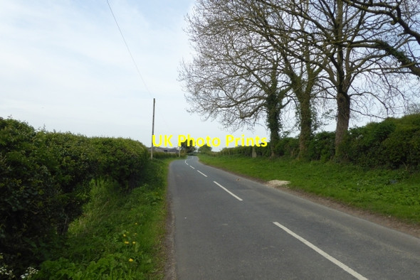 Photo 6"x4" Along Hall Park Road Walton\/SE4447 c2017