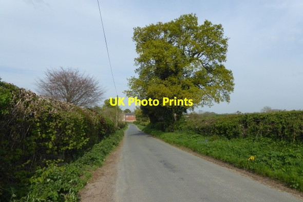 Photo 6"x4" York Road Healaugh\/SE4947 c2017