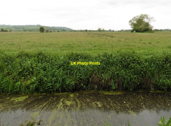Photo 6"x4" Low Ham Moor Henley\/ST4332 c2017