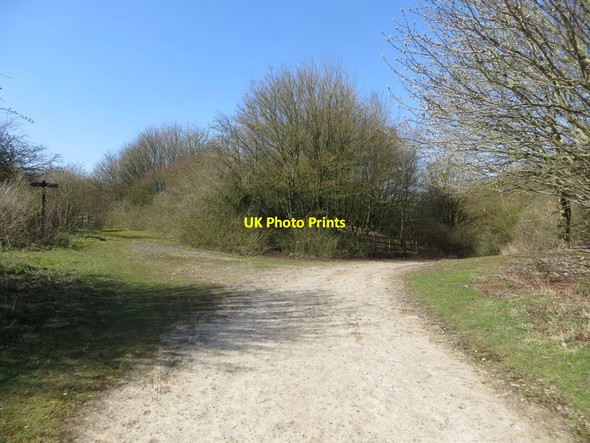 Photo 6"x4" Disappearing Ridgeway East Ilsley c2016