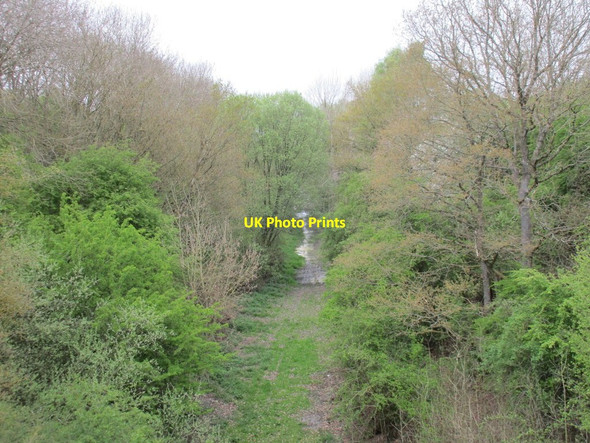 Photo 6"x4" The route of the former Great Central Railway Helmdon c2017