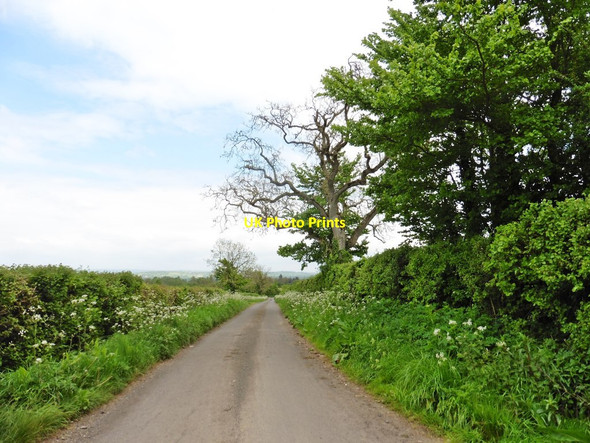 Photo 6"x4" Bolster Lane Compton Dundon c2017
