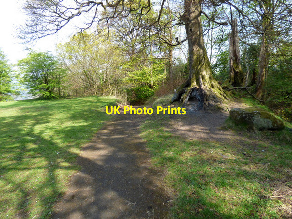 Photo 6"x4" Birkmyre Park, Port Glasgow Port Glasgow c2017 P1